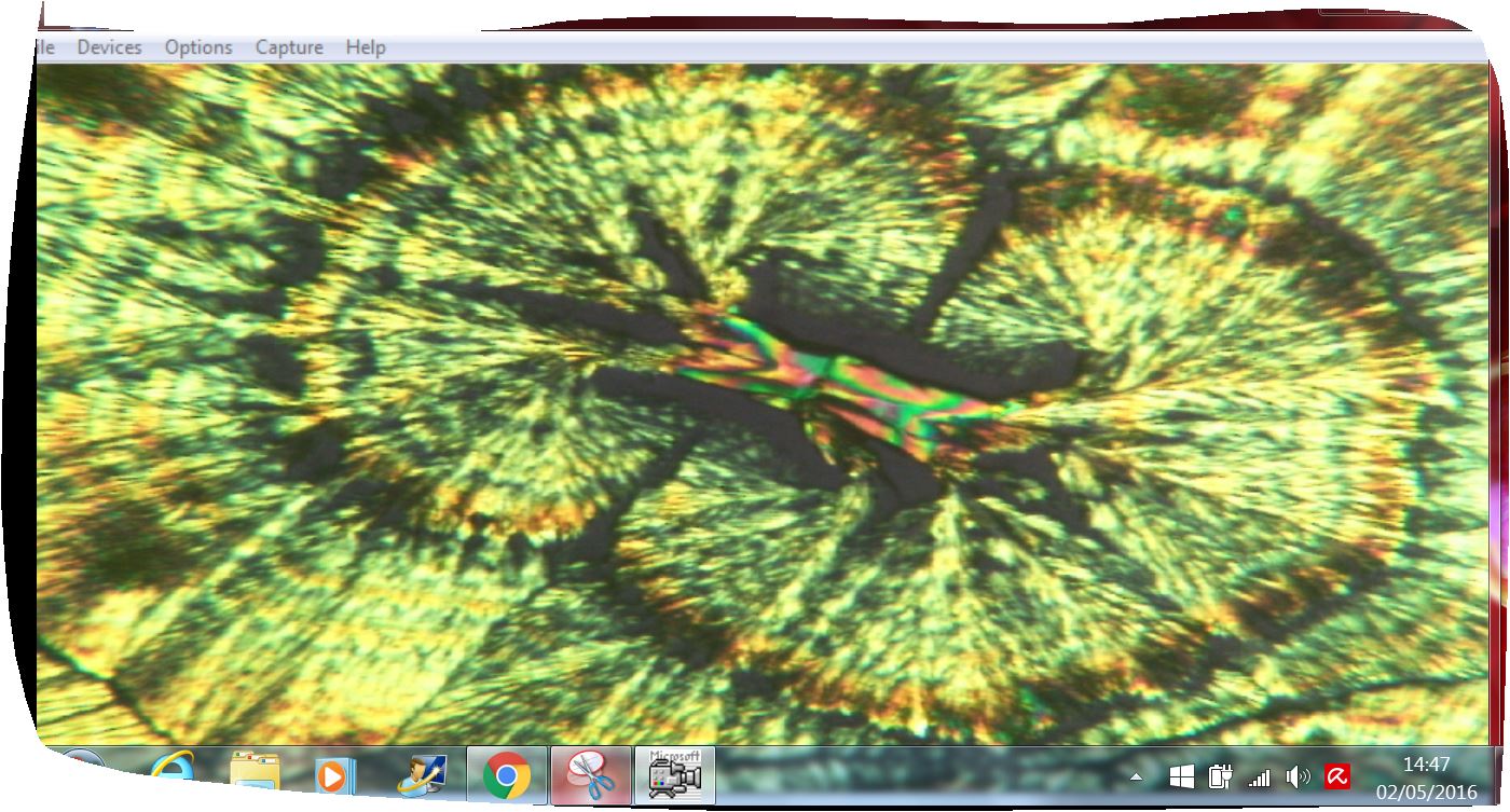 wow comincio a imparare :invio pi� immagini:)ciaoooo